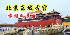 啊啊粗大白浆喷水中国北京-东城古宫旅游风景区